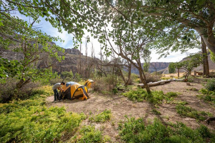 Campamentos Exploradores - Enero 2025 - Parque Patagonia - Horacio Barbieri_-3
