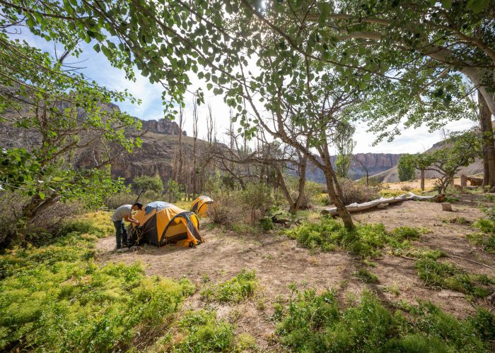 Campamentos Exploradores - Enero 2025 - Parque Patagonia - Horacio Barbieri_-3