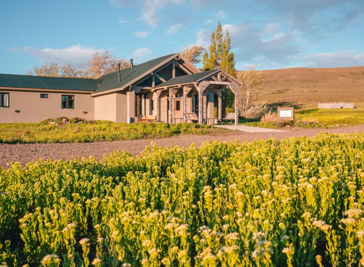 Campaña Tierra de Cañadones - La Posta de Los Toldos - Noviembre 2024 - @Hori_barbieri - Horacio Barbieri_-111