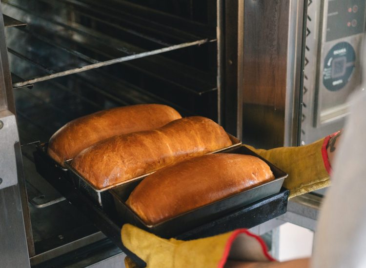 Campaña Tierra de Cañadones - La Posta de Los Toldos - Noviembre 2024 - @Hori_barbieri - Horacio Barbieri_-14