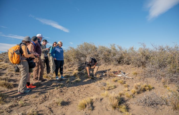 Witness the wild - Enero 2023 - Horacio Barbieri - @hori_barbieri-3